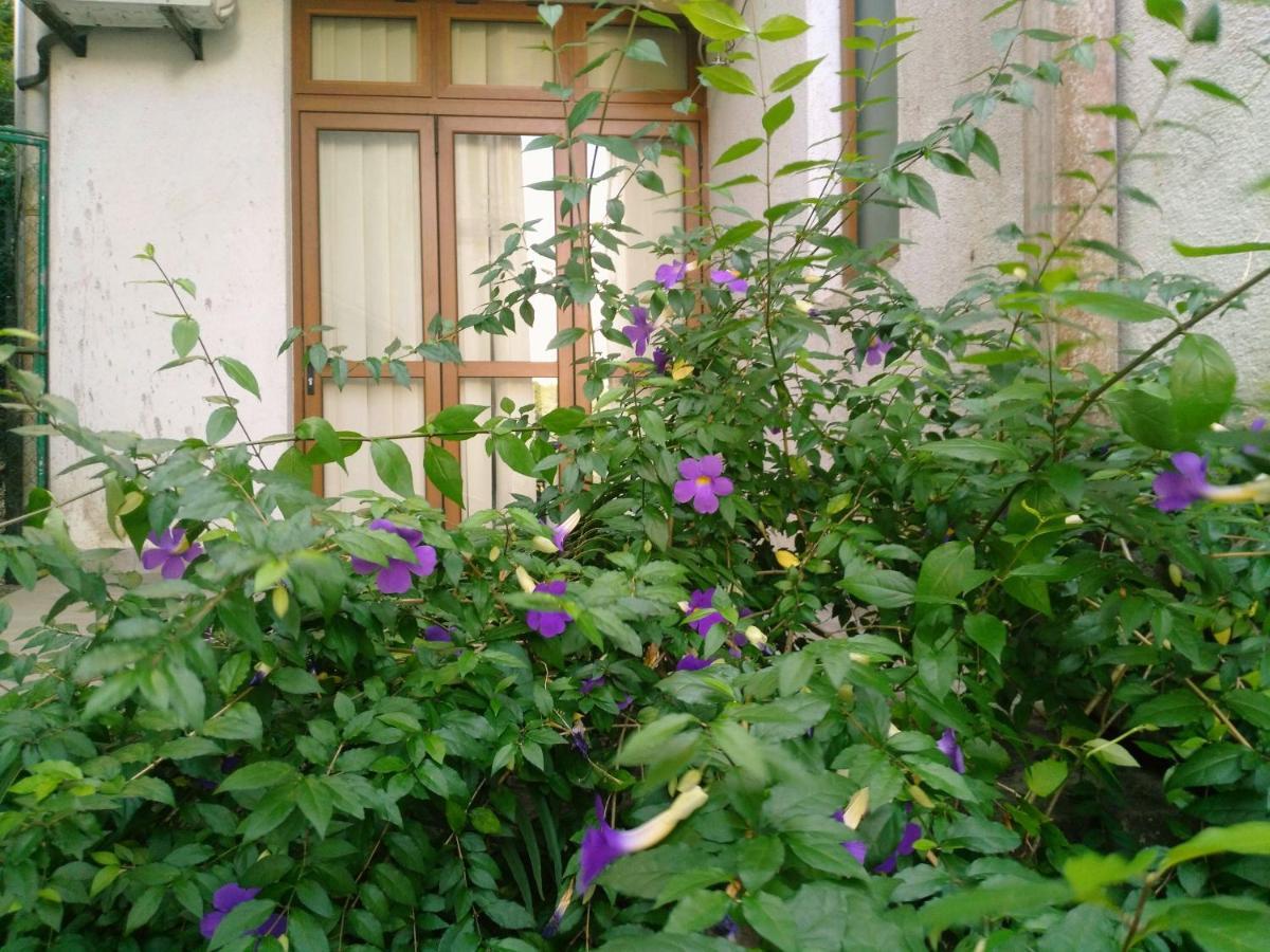 Walse Park Residence Kandy Esterno foto